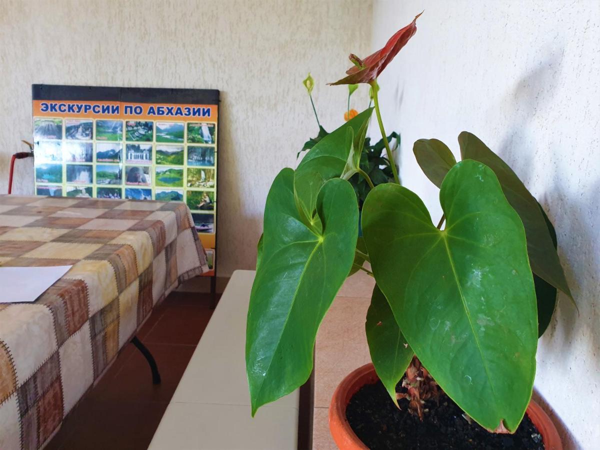 Guest House Lykhny Gagry Exterior photo