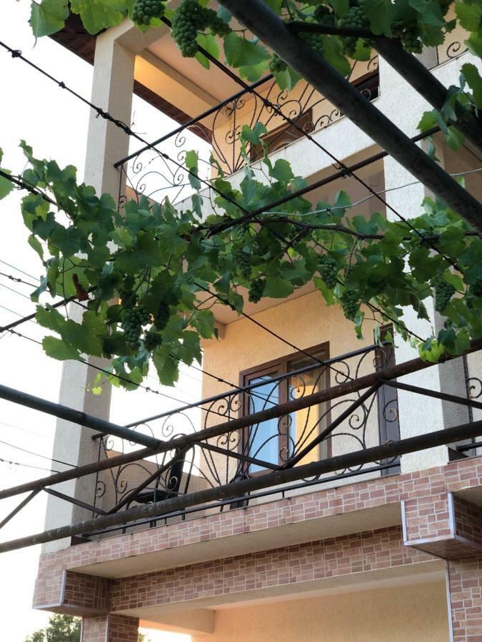 Guest House Lykhny Gagry Exterior photo